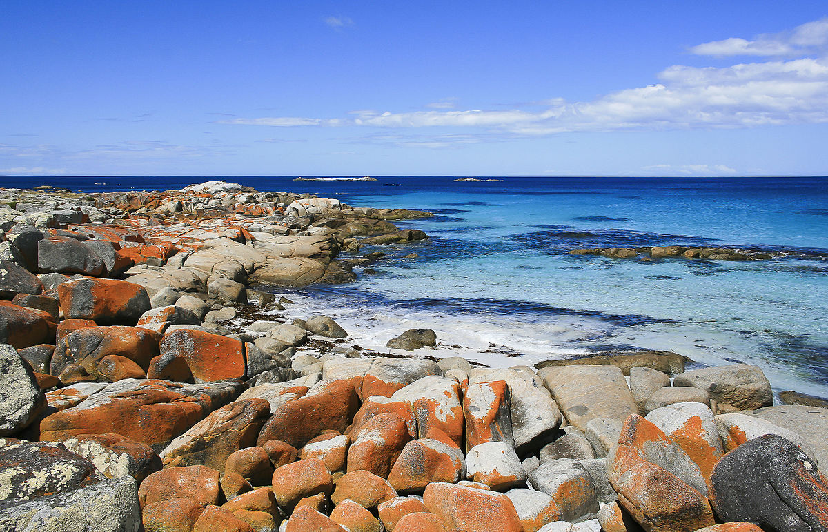 địa điểm cắm trại tại úc Bay of Fires, Tasmania