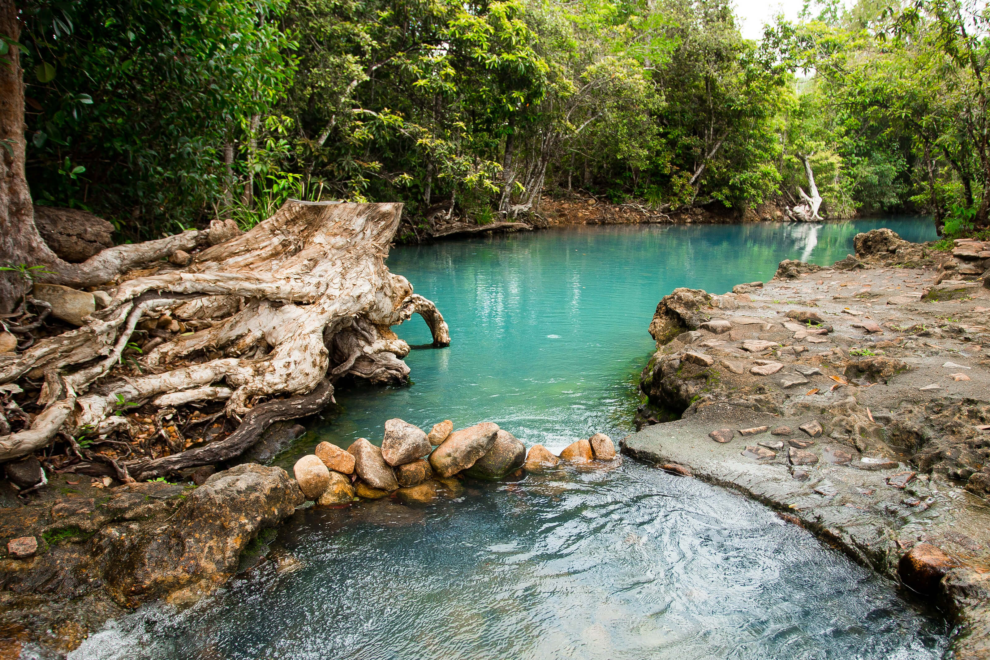 Cardwell Spa Pool úc