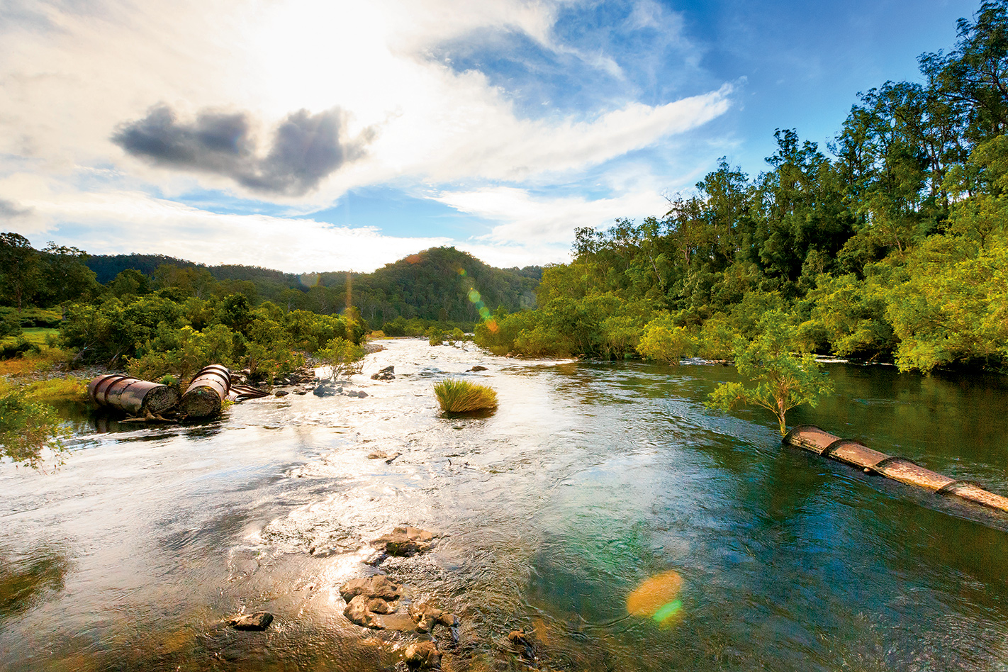 địa điểm cắm trại miễn phí tại đảo Nam New Zealand