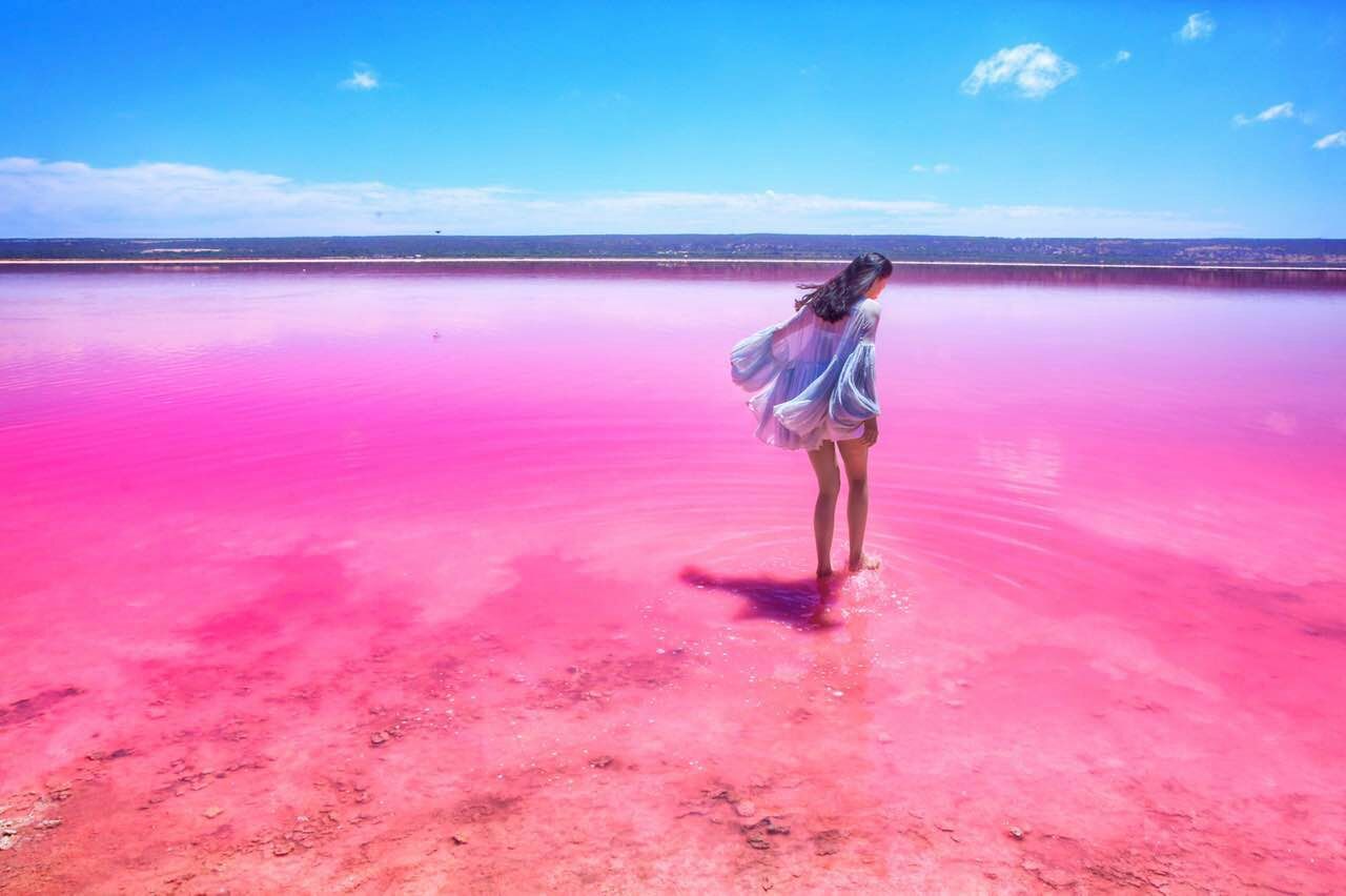 hồ muối Hutt Lagoon 