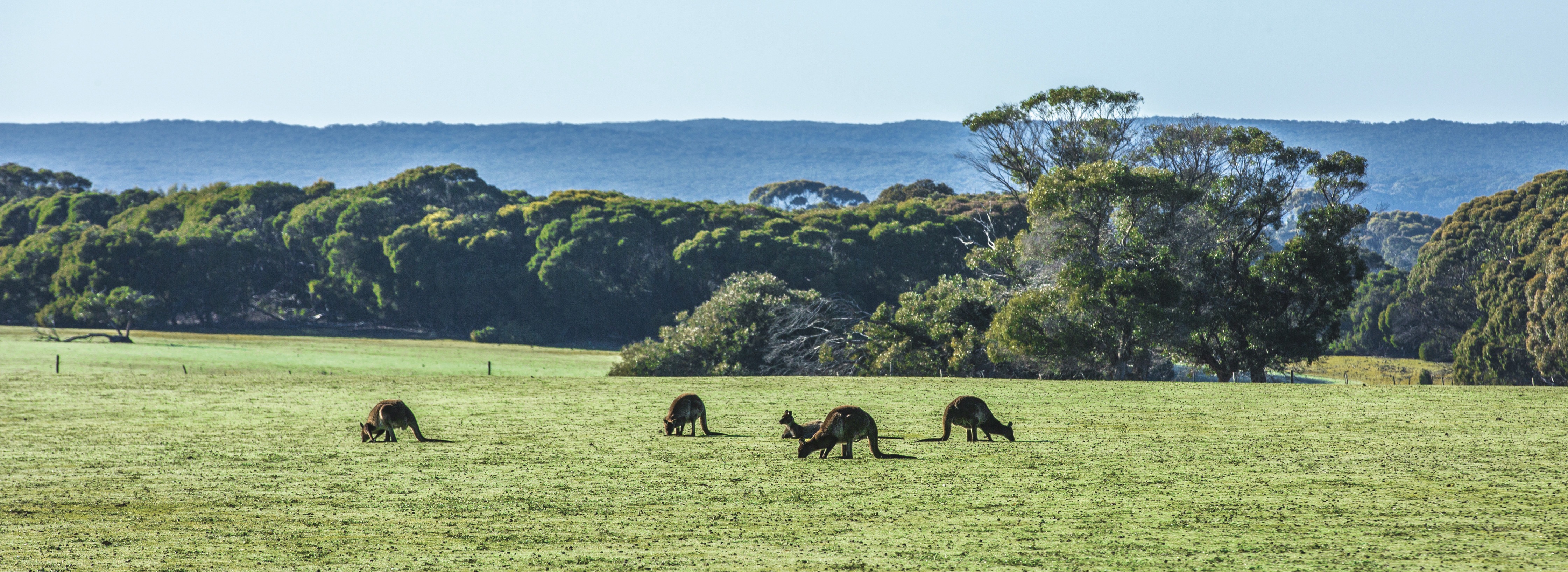 Hanson Bay Wildlife Sanctuary